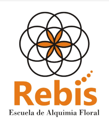 Logo Rebis